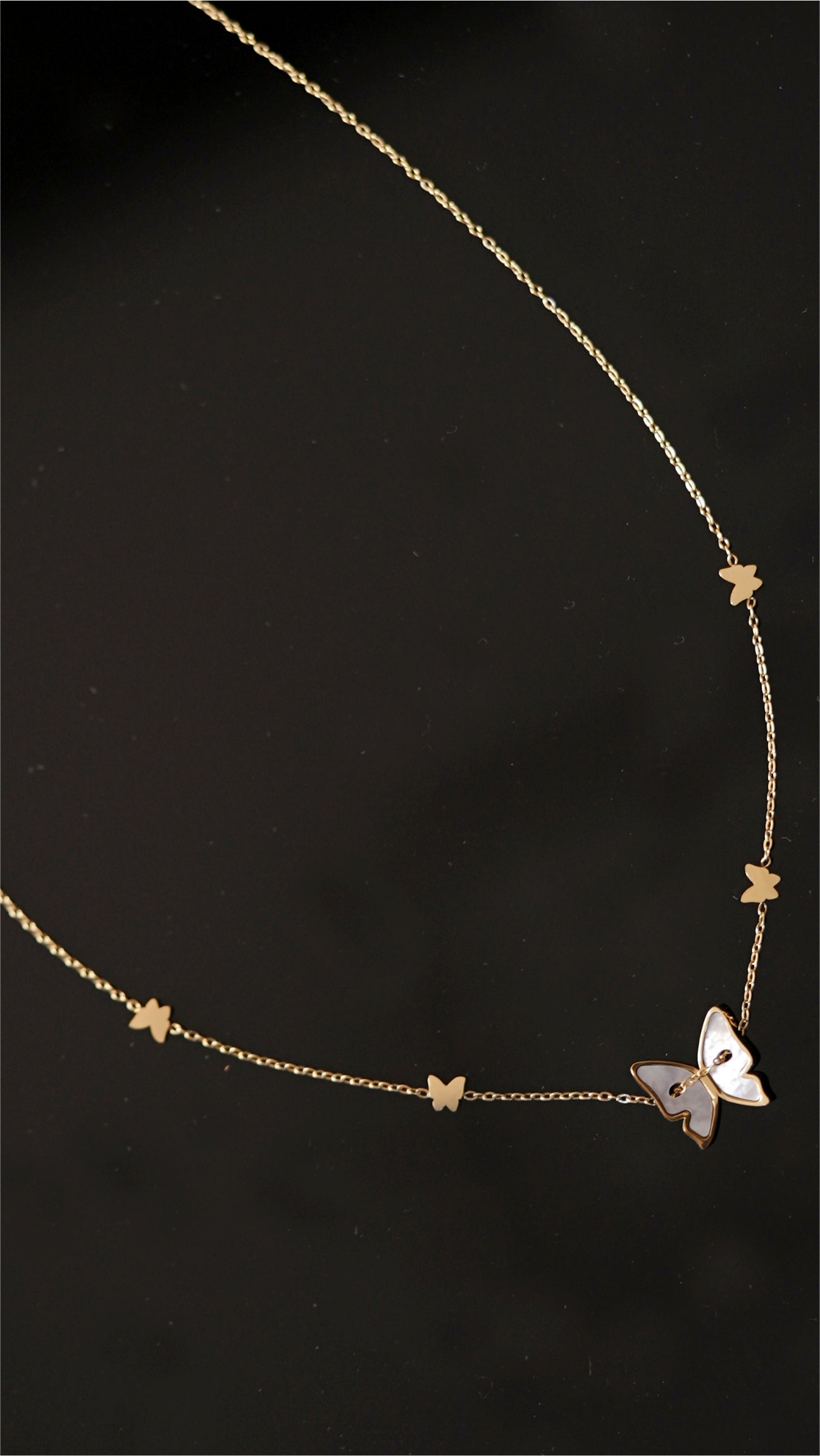 Sea-Shell Morphos Necklace