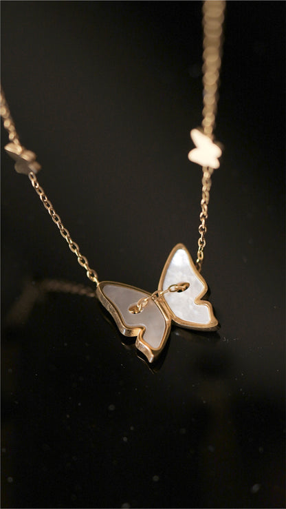 Sea-Shell Morphos Necklace